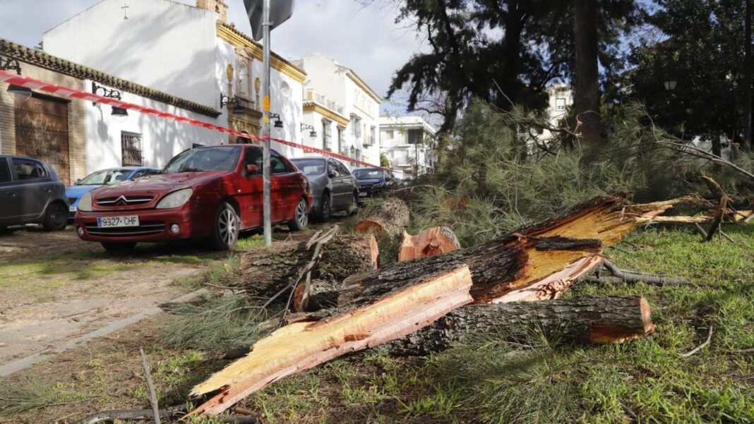 las-tres-noticias-mas-importantes-de-la-tarde-en-cordoba