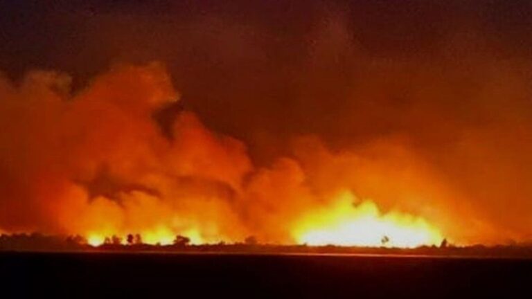 Santa Fe: fuego en una isla frente a Granadero Baigorria
