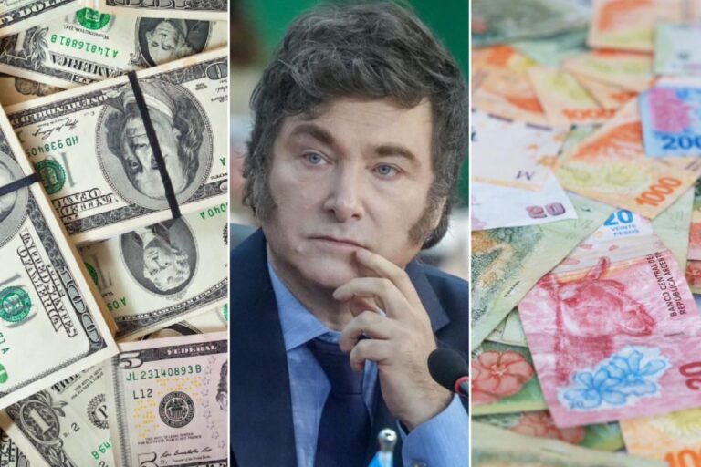 Adaptarse o morir. Cuál es la falacia del dólar barato, según Milei