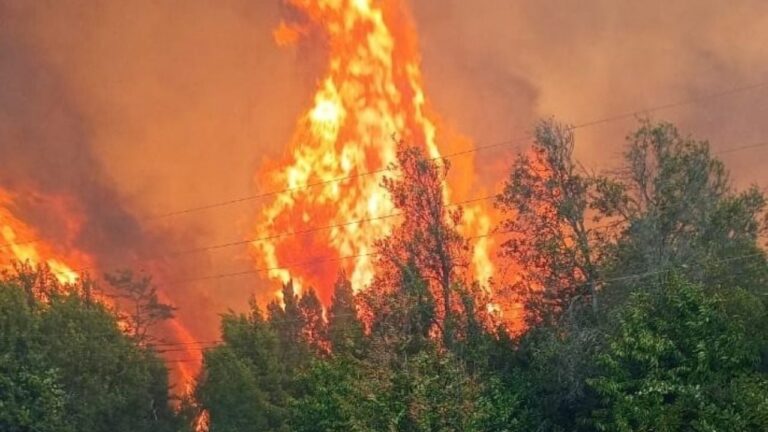 Un hombre murió en los incendios en El Bolsón