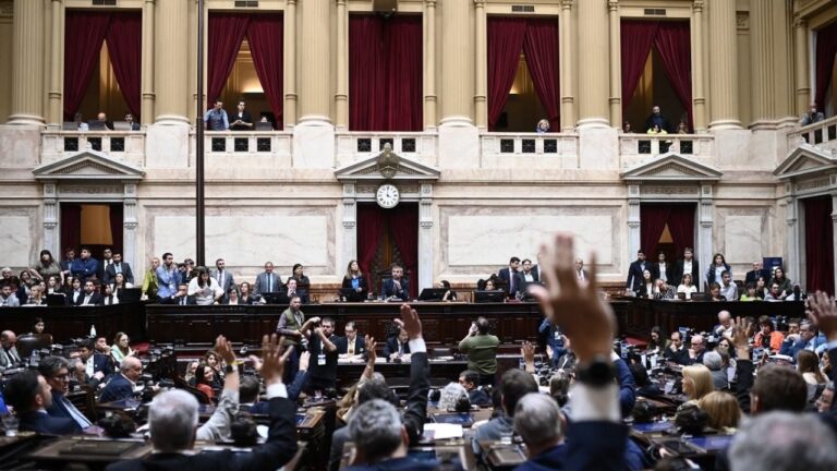 Los diputados van a la carga por las PASO