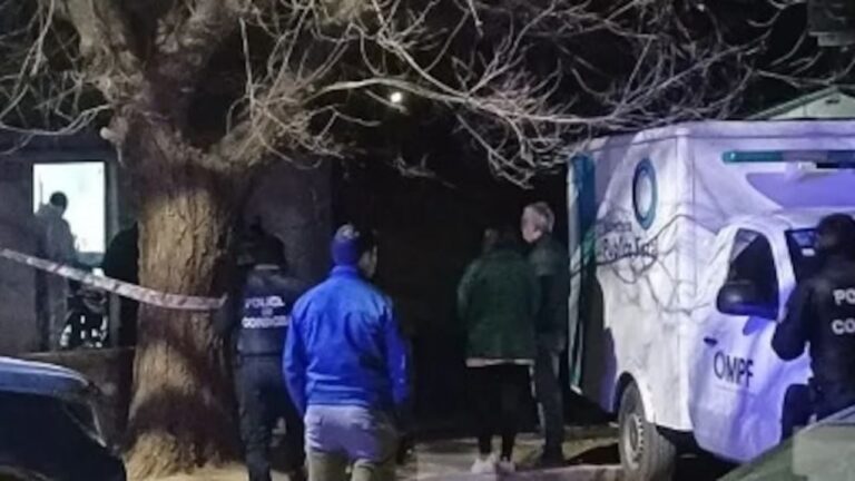 Una noche de terror: Una madre mató a puñaladas a su hijo de 14 años
