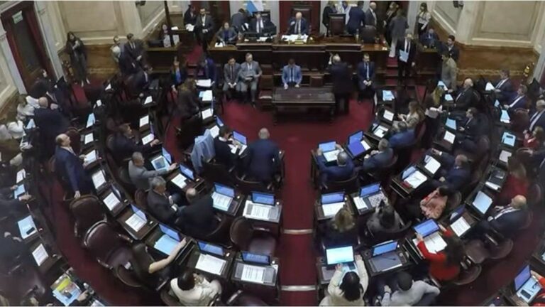 El Senado debate el veto en Discapacidad y la regulación de los DNU