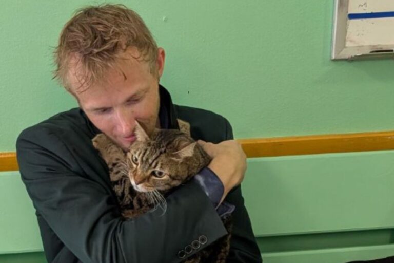 Se quedó en la calle, tuvo que dejar a su gato en un refugio y el reencuentro entre ambos emocionó a todos