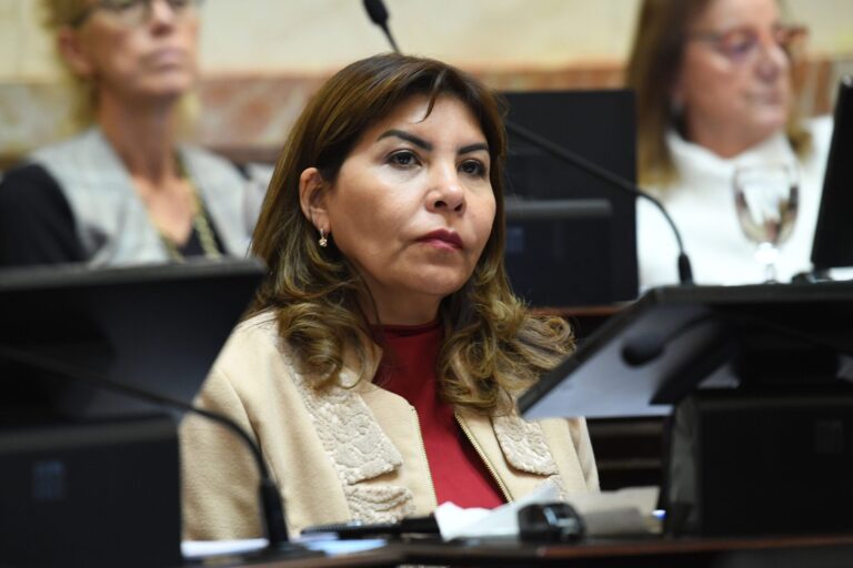 La polémica frase de la senadora kirchnerista Sandra Mendoza: No creo que este Gobierno llegue al 26 de octubre