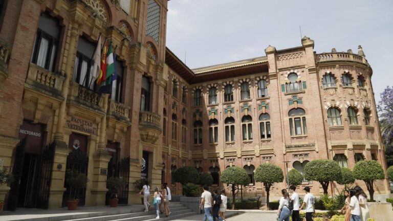 La Universidad de Córdoba incorporará en su oferta el grado en Ciencias de la Actividad Física y del Deporte