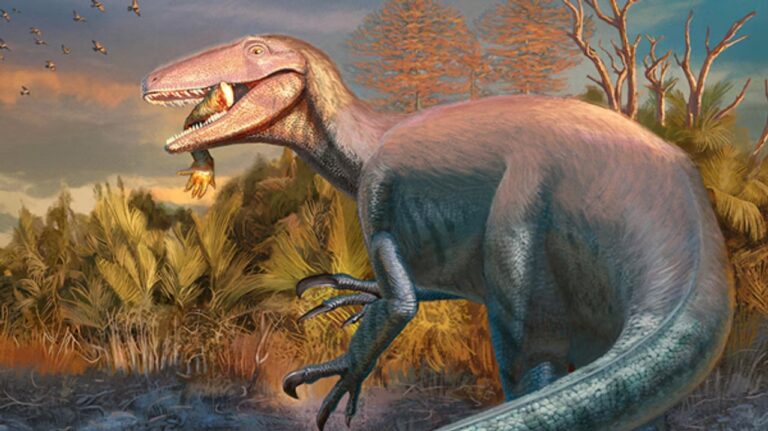 Descubren el fósil de un megarraptor en Argentina con restos de su presa en la boca