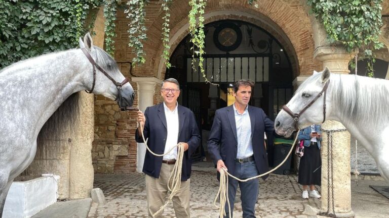El 30º Concurso Internacional Morfológico de Pura Raza Española de Córdoba reúne a 55 ganaderías