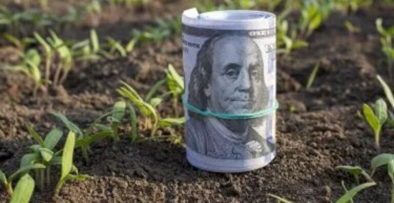 Retenciones cero. Milei y Caputo le regalaron 1500 millones a las multinacionales del agro