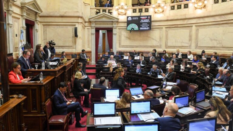 El Senado rechazó los vetos al financiamiento universitario y a la Ley Garrahan
