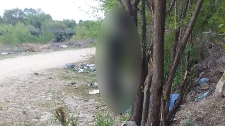 Espanto: hallaron muerta a una perra colgada de un árbol