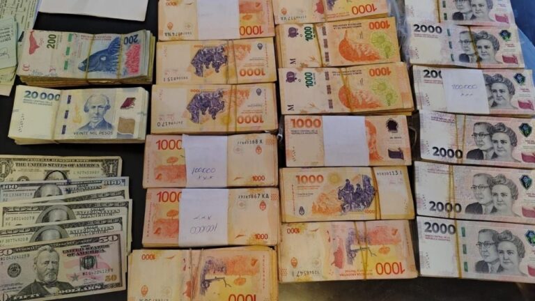 Sorpresivo hallazgo de una suma millonaria en operativos policiales