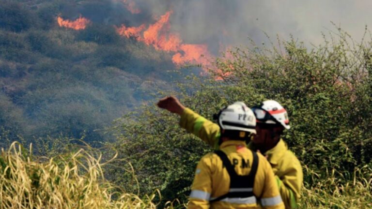 El incendio en Villa Giardino fue controlado a pocos metros de las casas
