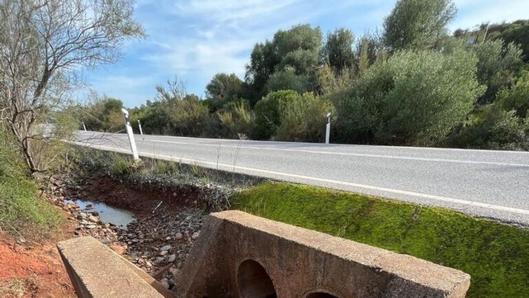 La Junta colocará vallas y señales en carreteras de Córdoba para proteger al lince