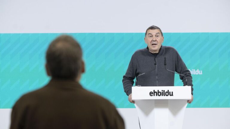 El Tribunal Europeo de Derechos Humanos avala la actuación del TC frente al último recurso de Otegi