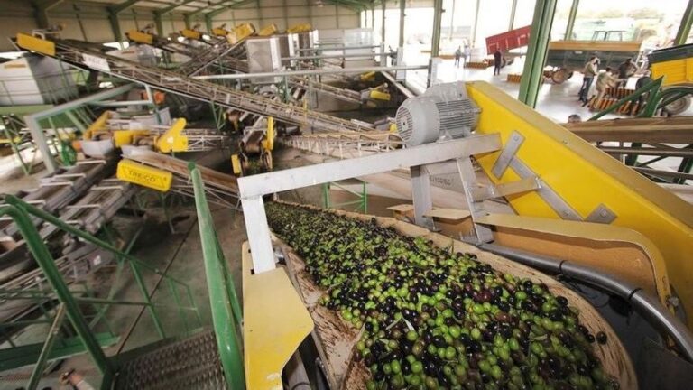 Las exportaciones crecen más de un 8% en Córdoba y siguen batiendo récords