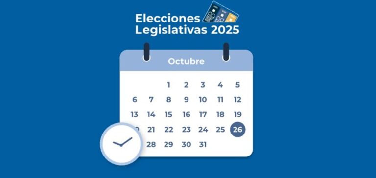 Elecciones 2025: dónde consultar los resultados oficiales, minuto a minuto