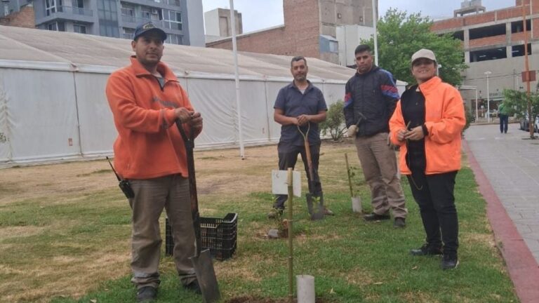 Carlos Paz suma más árboles nativos a sus espacios públicos
