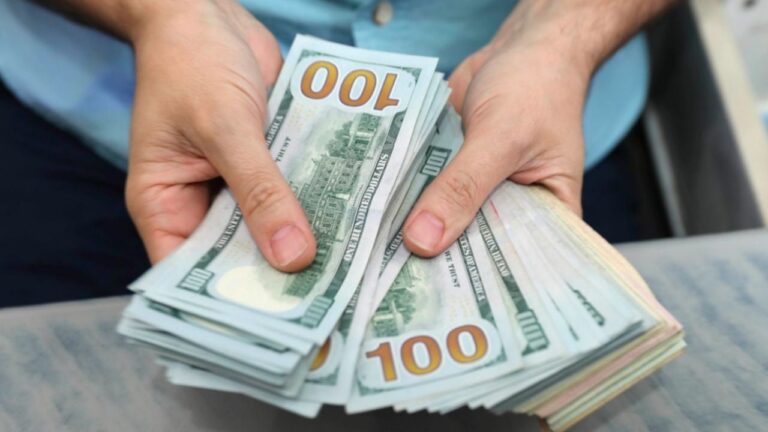 A cuánto cotizan el dólar blue y el dólar oficial este domingo