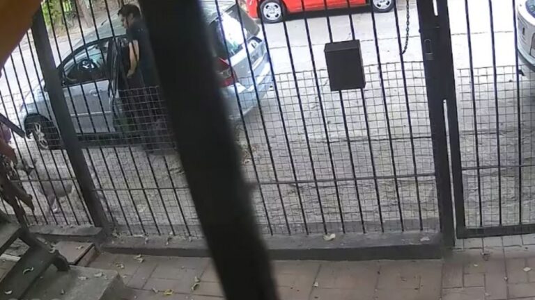 Pidió disculpas públicas el dueño del dogo que atacó a una nena