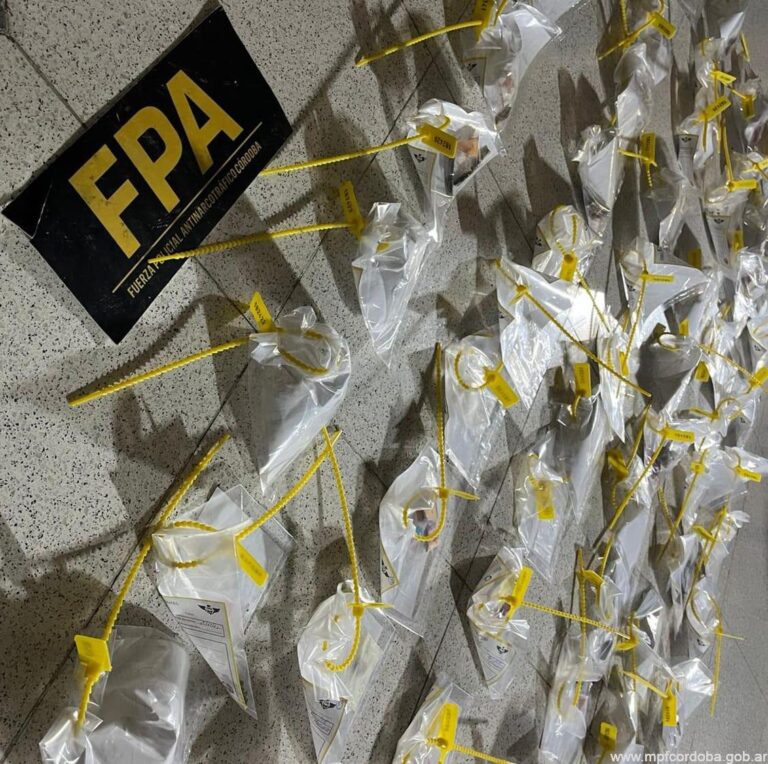 Coctel de drogas: Secuestraron éxtasis, tussi, LSD, marihuana y cocaína en una fiesta electónica