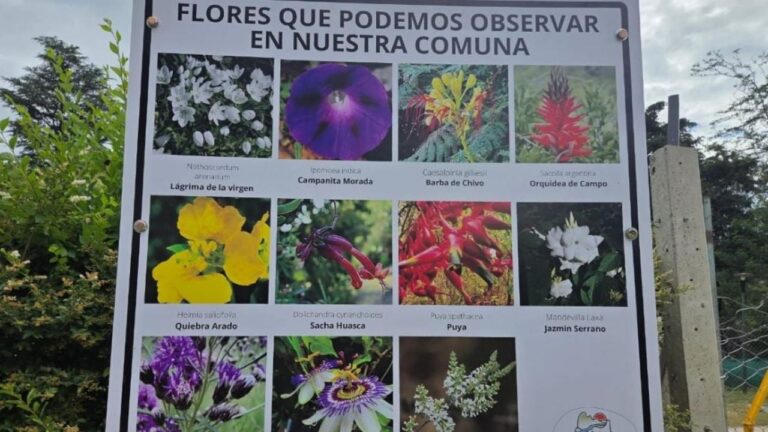 Cuesta Blanca mejora su camping y suma carteles sobre flora y aves autóctonas