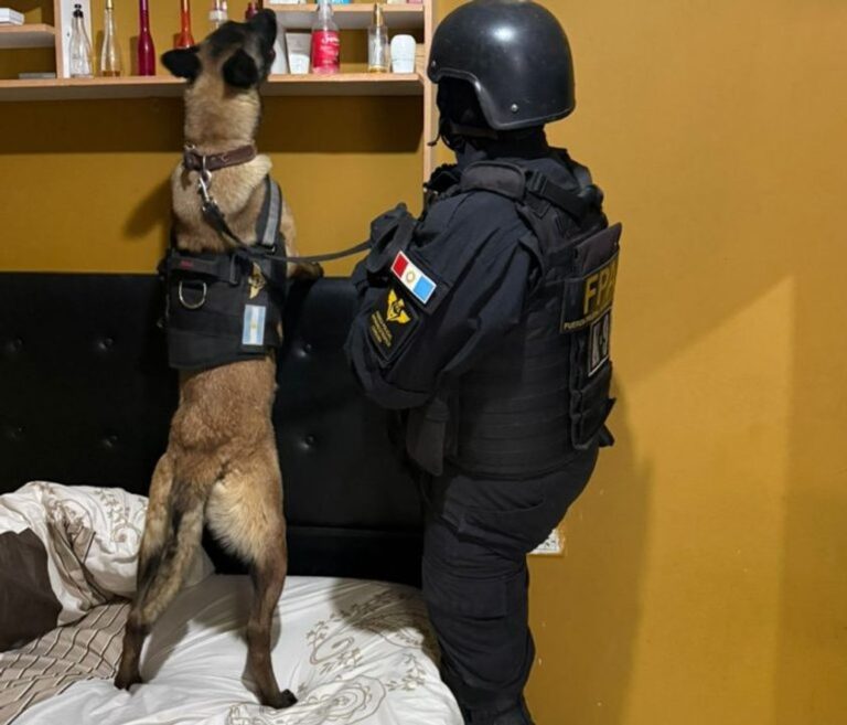 Desbaratan clan narco que operaba en Córdoba, La Calera y El Manzano y detienen a siete personas