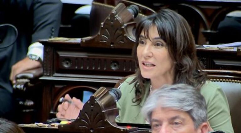 Natalia de la Sota: Queda clarísimo que este es un Presupuesto de ajuste