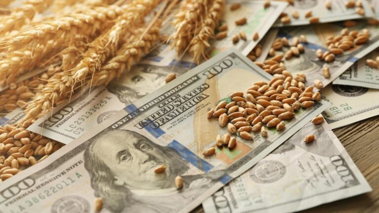 Cosecha récord: el agro proyecta hasta 160 millones de toneladas y exportaciones por más de u$s36.000 millones
