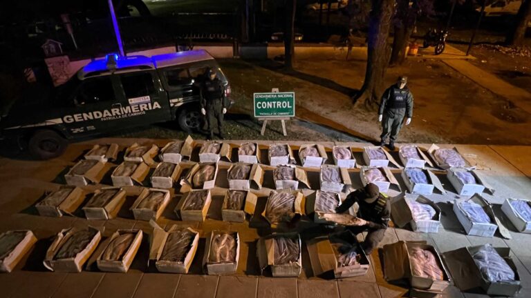 Córdoba: Decomisan una tonelada de sábalos que trasladaban sin cadena de frío