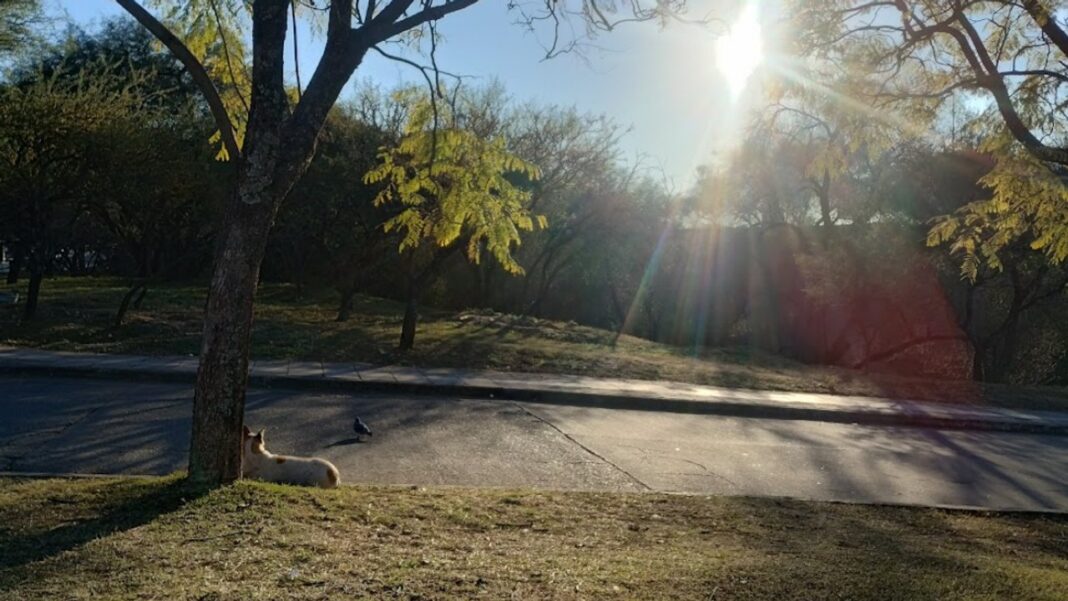 Atardecer otoñal en la ciudad de Córdoba con cielo despejado